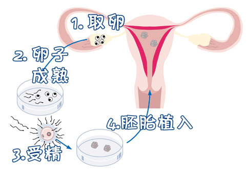 陈主任